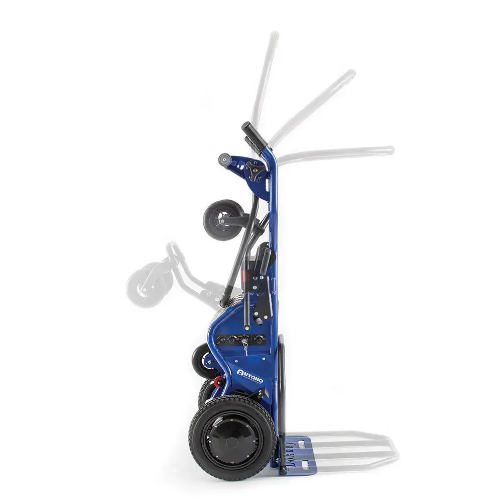 movimenti-donkey.webp