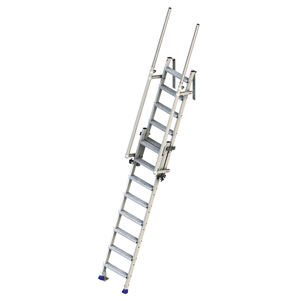 Echelle accès skydôme