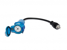 Fiche NF - Femelle DS1