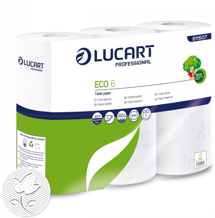 Papier toilette petit rouleaux 200feuilles 2plis ecolabel