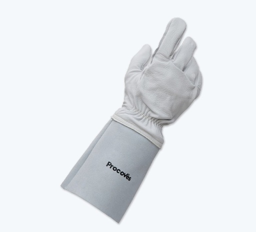 Gant Argon Cut 16