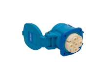 Socle DS1 - 250V